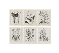 Home ESPRIT Cuadro Shabby Chic Plantas botánicas 40 x 1,5 x 50 cm (6 Unidades)