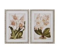 Home ESPRIT Cuadro Tropical Orquídea 50 x 2,5 x 70 cm (2 Unidades)
