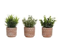 Home ESPRIT Planta Decorativa Polietileno Cemento 12 x 12 x 17 cm (3 Unidades)