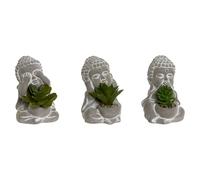 Home ESPRIT Planta Decorativa Polietileno Cemento Buda Oriental 8,5 x 7 x 11 cm (3 Unidades)