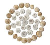 HOME GENIE „Gomti Chakra (21 Stück) | Heilige natürliche Muscheln für Reichtum, Wohlstand und Vastu-Heilmittel | Spirituelle Heilung und Feng Shui-Produkt