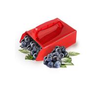 Home Made Berry Picker, Plastic / Metal, Red, 23 X 14cm