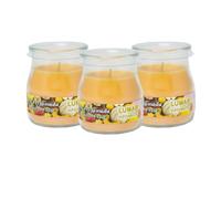 Home Universal® Pack de 3/6/12 Velas Aromáticas en Vaso de Cristal Reciclable LUMAR AROMATIC - 24h de Duración por Vela - Cera Vegetal Perfumada - Fabricadas en España (Frutas Tropicales, 3 Unidades)