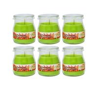 Home Universal® Pack de 3/6/12 Velas Aromáticas en Vaso de Cristal Reciclable LUMAR AROMATIC - 24h de Duración por Vela - Cera Vegetal Perfumada - Fabricadas en España (Sorbete de Sandía, 6 Unidades)