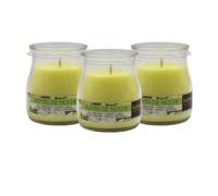 Home Universal® Pack de 3/6/12 Velas Aromáticas en Vaso de Cristal Reciclable LUMAR AROMATIC - 24h de Duración por Vela - Cera Vegetal Perfumada - Fabricadas en España (Jazmín de Noche, 3 Unidades)