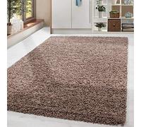 HomebyHome Alfombra Salon Peludo de Pelo Largo Moca 300x400 cm - Alfombras de Habitacion Sala de Estar Modernas Suave y Esponjoso - Alfombras Dormitorio Moqueta Cocina Infantil Rectangular