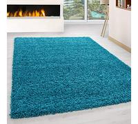 HomebyHome Alfombra Salon Peludo de Pelo Largo Turquesa 80x150 cm - Alfombras de Habitacion Sala de Estar Modernas Suave y Esponjoso - Alfombras Dormitorio Moqueta Cocina Pasillo Corredor