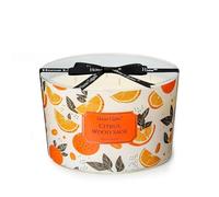 HomeLights Velas con aroma a Salvia de madera cítrica Velas de soja de 18oz, estilos eclécticos y variados, frascos grandes de 4 mechas Regalos ideales alivio del estrés y relajación