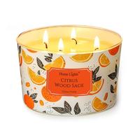 HomeLights Velas con aroma a Salvia de madera cítrica Velas de soja de 18oz, estilos e ticos y variados, frascos grandes de 4 mechas Regalos ideales alivio del estrés y relajación