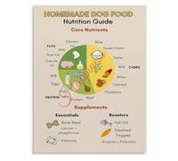 Homemade Dog Food Diet Infographic Poster Nutrition Guide