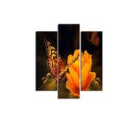 Homemania HM203MDF54 Cuadro - Mariposas, MDF, Multicolor, 57 x 0.3 x 60 cm, Set de 3 Piezas
