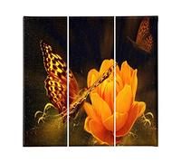 Homemania HM203PKNV-20 Cuadro - Mariposa, Poliéster, Madera, Multicolor, 69 x 3 x 50 cm, Set de 3 Piezas