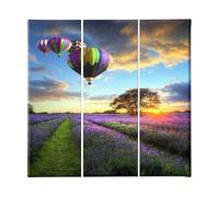 Homemania HM203PKNV-50 Cuadro Globo, Multicolor, 69 X 3 X 50 Cm, 3 Piezas