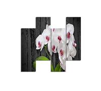 Homemania HM204PMDF194 Cuadro - Flores - Música, MDF, Multicolor, 76 x 0.3 x 50 cm, Set de 4 Piezas