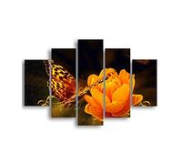 Homemania HM205MDF130 Cuadro - Mariposas, MDF, Multicolor, 95 x 0.3 x 60 cm, Set de 5 Piezas