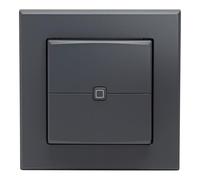 Homematic IP Smart Home 161869A0 - Pulsador de pared (2 enchufes, color antracita, 2 botones, accesorio Smart Home, uso universal, actuadores y termostatos, inalámbrico)
