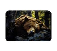 Homemissing Alfombras de baño de microfibra con diseño de oso para dormir, 40,6 x 60,9 cm, bonitos animales, antideslizantes, para la naturaleza, accesorios de baño, felpudos suaves para puerta