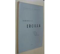 Homenaje a Ercilla