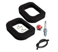 HomeVortex Kit para filtro Aire Bomba Cebado para mountfield para rs100 | Material plástico , esponja filtrante para alta densidad, uso exterior