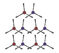 HomeVortex Resortes de cubo QR de acero inoxidable 304, modelo M5, para kit de mantenimiento de pinchos de rueda de bicicleta con 2 tuercas de aluminio, paquete de 4 negros (paquete de 10)
