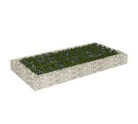 Homgoday Arriate de gaviones de Acero 200x100x20 cm Arriate Jardin de Acero Recubrimiento Polvo, Elevado Macetero Maceta para Plantas Vegetales Hierbas