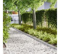 Homgoday Bordes de Césped 10 pcs 100x0.5x15 cm Acero InoxidableBorde Jardín, Césped Borde,Delimitadores de Bordes para jardín