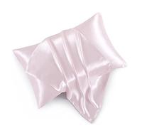 HommxJF Juego de 2 fundas de almohada de satén con cremallera (20 x 26), fundas de almohada de tamaño estándar, fundas de almohada de seda rosa rubor para cabello y piel