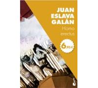 Homo Erectus