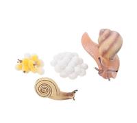 HOMOBABE 1juego Figuritas De Simulación del Ciclo De Caracoles Juguete Educativo para Cognitivo De Crecimiento Animal