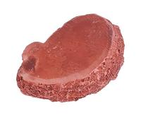 HOMOBABE Comedero para Reptiles de Resina con Diseño Imitación Duradero y Seguro Cuenco para Alimentación de y Geckos Accesorio Decorativo para Mascotas Pequeñas