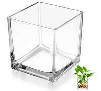 HOMOBABE Jarrón de Cristal Transparente Cuadrado 10x10 Cm, Recipiente Hidropónico Grueso para Flores, Florero Decorativo Moderno para Interior y Oficina
