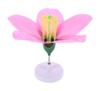 HOMOBABE Modelos De Flores De Durazno para Educación Biológica Recursos Didácticos De Anatomía Floral Material Educativo para Clases De Biología Modelos De Teoría Flor De Durazno
