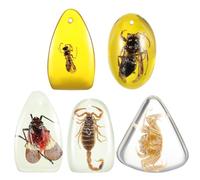 HOMOCONO 5 Colgantes de Ámbar en Resina con Insectos, Superficie Lisa y Trabajo Fino Pack Ideal Varios estilos para Pulseras y Collares DIY para Aficionados a Muestras y Varios estilos