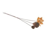 HOMOCONO Decoración de Bodas Flores Secas Naturales y Arreglo de Loto Seco, Adecuado para Decoración de Salón y Espacios Zen