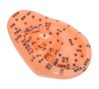 HOMOCONO Modelo Auricular Modelo De Oreja Oreja Falsa Modelo De Acupresión Herramientas De Reflexología Modelo De Oreja Herramienta De Enfermería De Reflexología Modelo De Oreja De