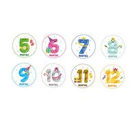 Homoyoyo 12piezas Pegatinas Del Mes Para Bebés Mensuales Adorables Para Recién Nacidos Decoración Barriga