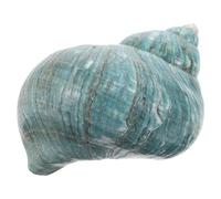 Homoyoyo Adorno de Caracolas Naturales Estilo Mediterráneo para Decoración de Acuarios y Manualidades Conchas Marinas Oficina y Cumpleaños