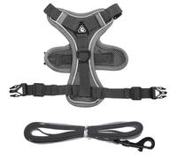 Homoyoyo Arnés para Perros Pequeño Correa Reflectante, Chaleco Transpirable de Malla Elástica, Talla L para Paseos al Aire Libre, Accesorio Ajustable para Gatos y Cachorros