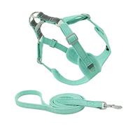 Homoyoyo Arnés para Perros Pequeños y - Ajustable y Confortable - Arnés De Chaleco Sin Tirones con Hebilla De Liberación Rápida y Correa Incluida Ideal para Paseos y