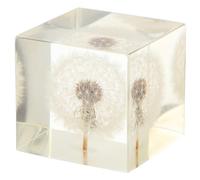 Homoyoyo Bola De Cristal Feng Shui Diente De Decorativa para Oficina - Cubo De Cristal con Flor Artificial 3D - Ideal para Decoración De Escritorio y Espacios De Trabajo Tamaño Compacto