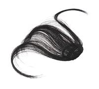 Homoyoyo Clip in Hair Bangs Extensiones Resistentes Al Calor Negra Mate Falso Flequillo Para Estilo Versátil