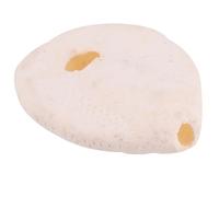 Homoyoyo Conchas Naturales de Erizo de Mar Color Marfil 4-5 Cm, 6 Piezas para Decoración del Hogar, Manualidades DIY, Accesorios para Bodas y Ambiente Tropical