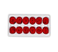 Homoyoyo de Rosas Preservadas Rojas Duraderas y Decorativas 12 Piezas Flores Inmortales de Plástico para Decoración de Boda para Eventos Románticos