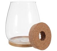 Homoyoyo Jarrón de Cristal Hidropónico para Esquejes 2 Unidades Grande con Tapón de Corcho Perforado y Bandeja de Bambú, Macetero para Propagación de Plantas y Decoración de Hogar U