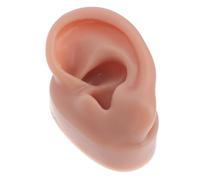 Homoyoyo Modelo De Oreja Humana Simulado Modelo De Oreja Falsa Propósito De Práctica Escenario De Formación Médica