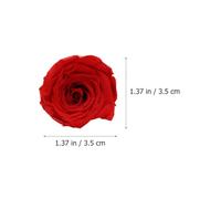 Homoyoyo Rosas Preservadas Rojas de 3-4 CM Caja de 12 Unidades para Decoración de Bodas y Obsequio de San Valentín Flores Inmortales sin Mantenimiento para Arreglo DIY y Hogar