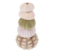 Homoyoyo Soportes para Plantas Aéreas Conchas de Erizo de Mar Natural Macetas Decorativas de Concha de Erizo Set de 5 Piezas para Decoración del Hogar y Acuarios