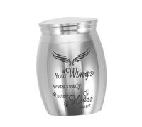 Homoyoyo Urna para Mascotas Mini de Acero Inoxidable con Diseño de Alas Guardianas Urna para Cenizas de Perro y Gato Portátil Caja Conmemorativa Pequeña para Restos Cremados de Animales