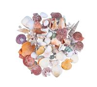 HOMSFOU 130 Piezas Mini Marinas Naturales No Porosas para Decoración de Bricolaje Adornos Coloridos de y Caracol Estrellado Temáticas Bodas Acuarios y Relleno de Jarrones