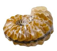 HOMSFOU Piedra Decorativa de Cristal en Forma de Caracola Natural, 4-5 Cm, Peso Aprox 50 G, Adorno para Decoración de Mesa y Hogar, Piedra Pequeña para Interiores